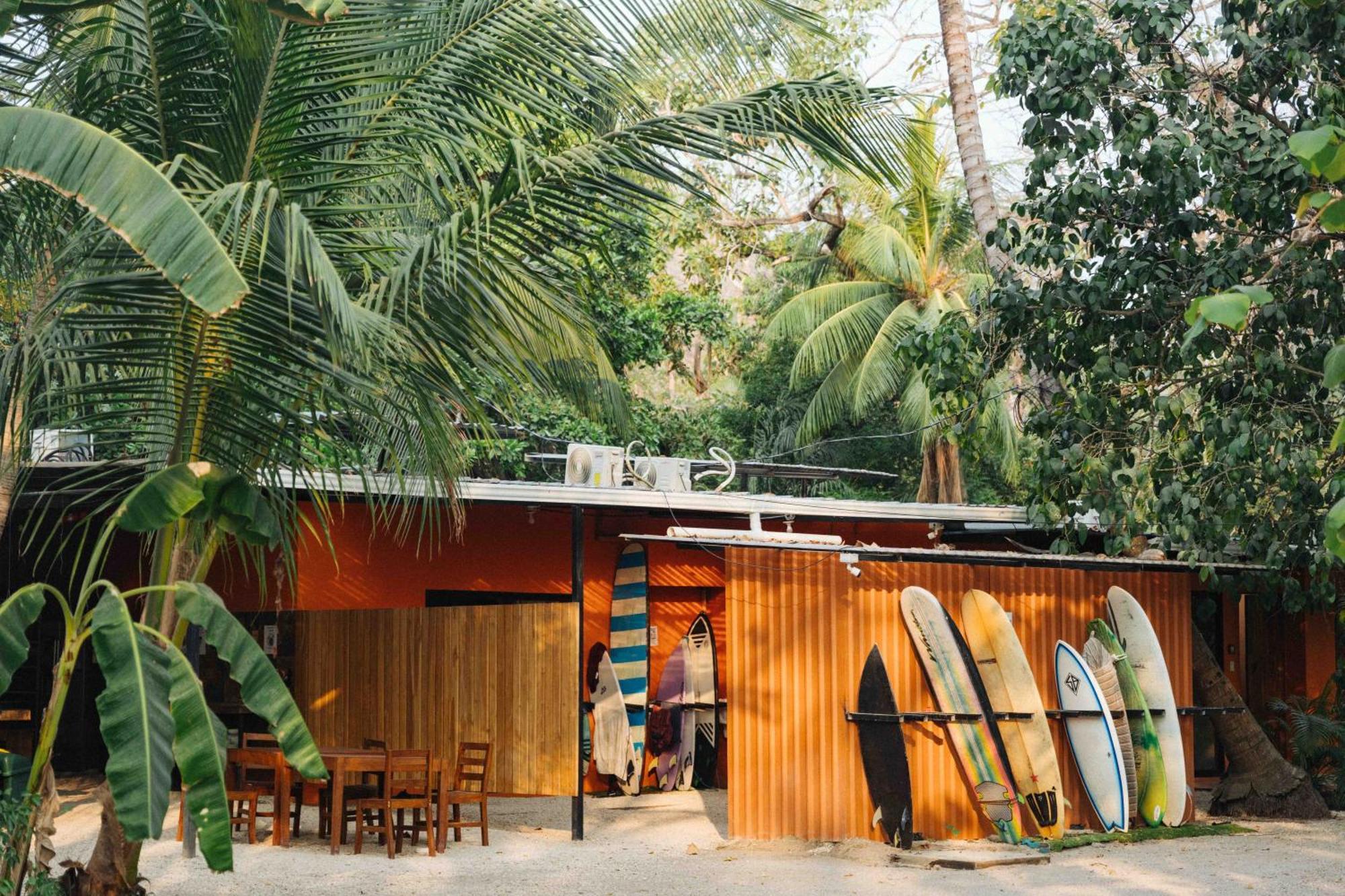 Playa Santa Teresa  Zeneidas Surf Garden מראה חיצוני תמונה